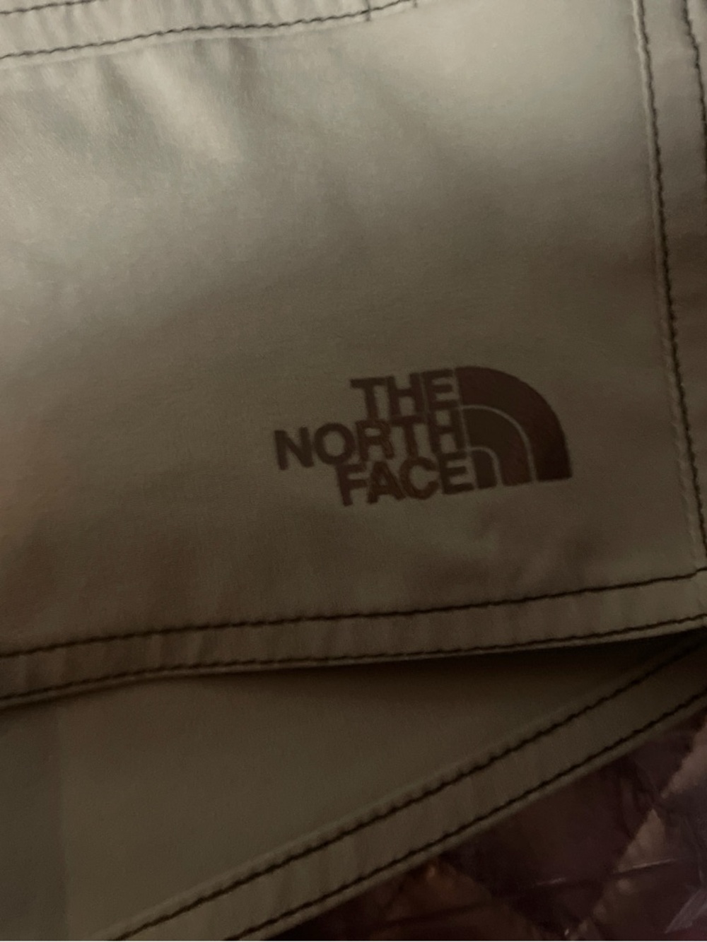 The North Face Tan Logo Outdoor Shorts - Picture 2 of 4